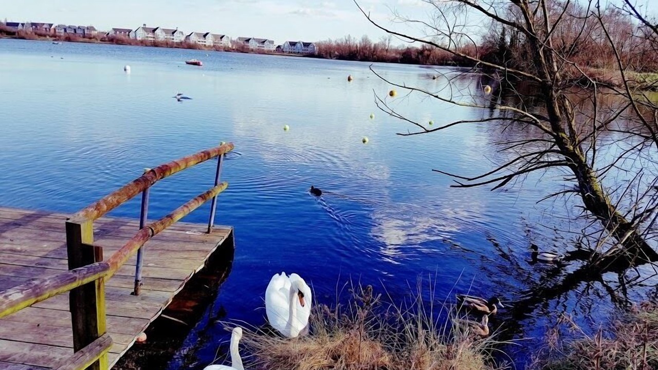 Photo of Others in Larkfield