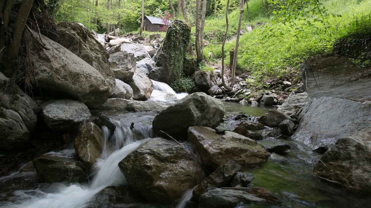 Photo of Outdoor in Vilallonga de Ter
