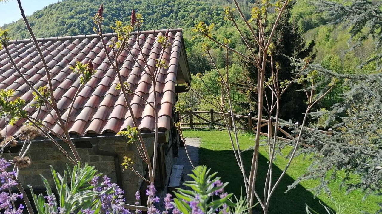 Photo of Outdoor in Vilallonga de Ter