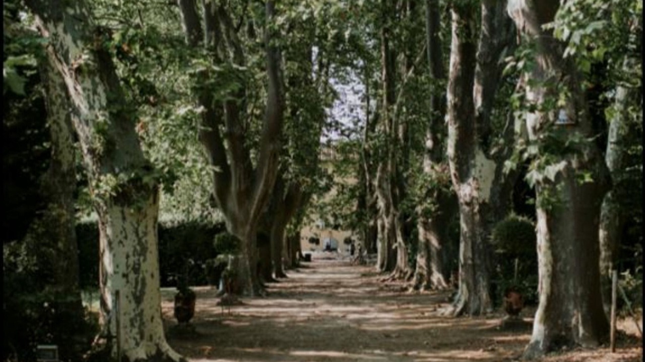 Photo of Outdoor in Grand Sud