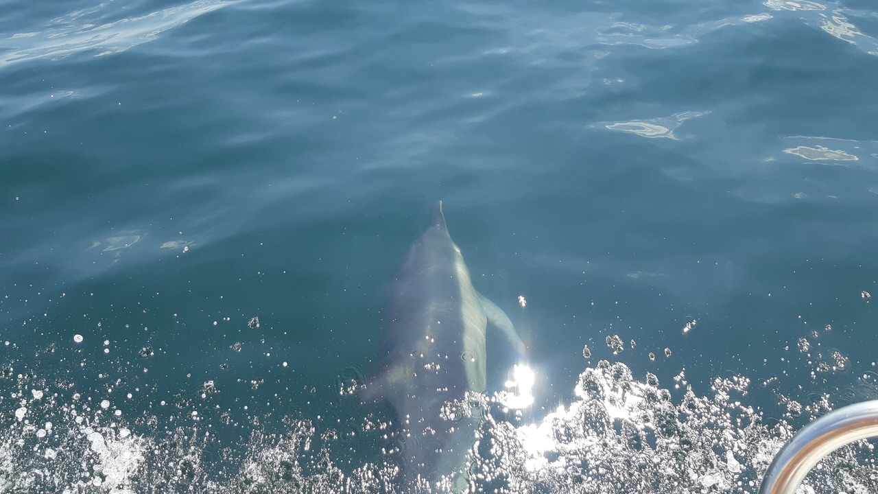 Photo of Outdoor in Port-Louis