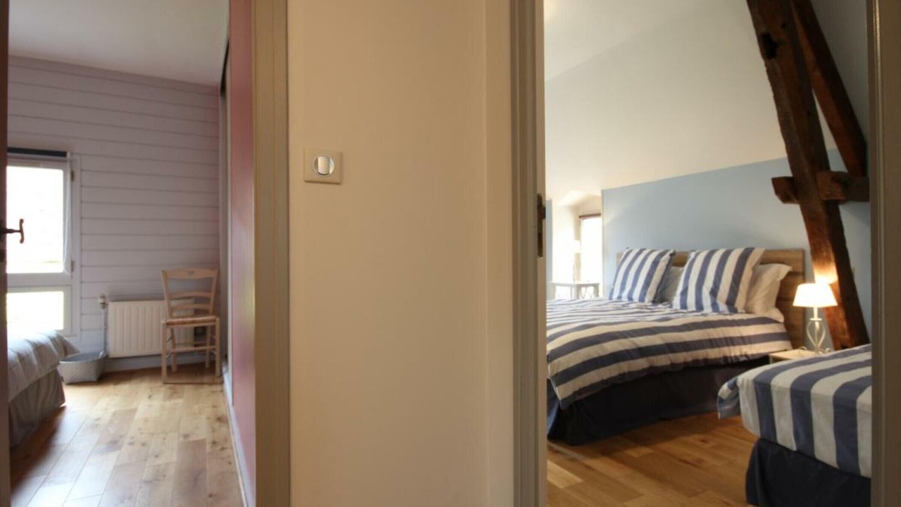 Photo of Others in Cerise