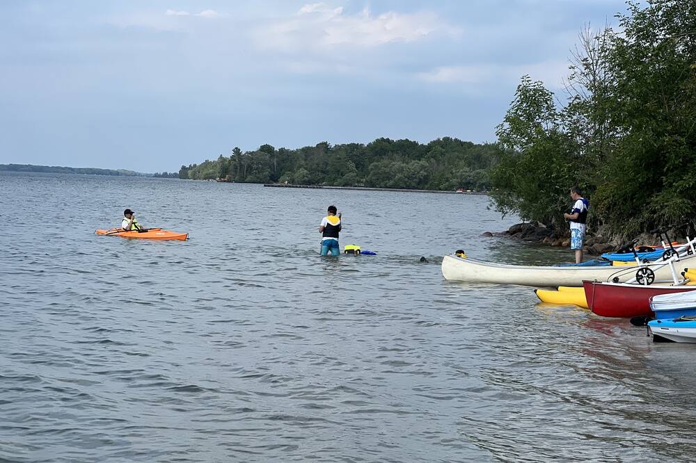 Photo of Others in Sutton