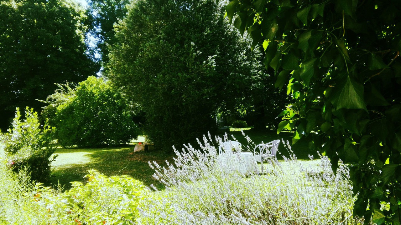 Photo of Outdoor in Saints