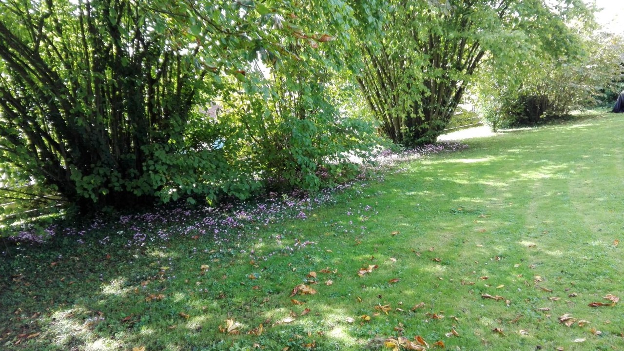 Photo of Outdoor in Saints