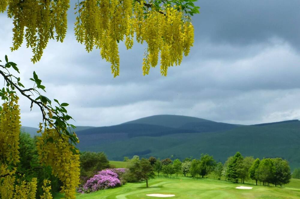 Photo of Others in Kinross