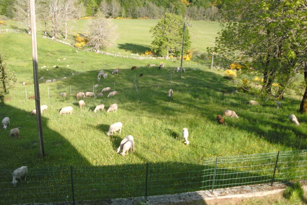 Photo of Outdoor in Pont-de-Montvert-Sud-Mont-Lozere