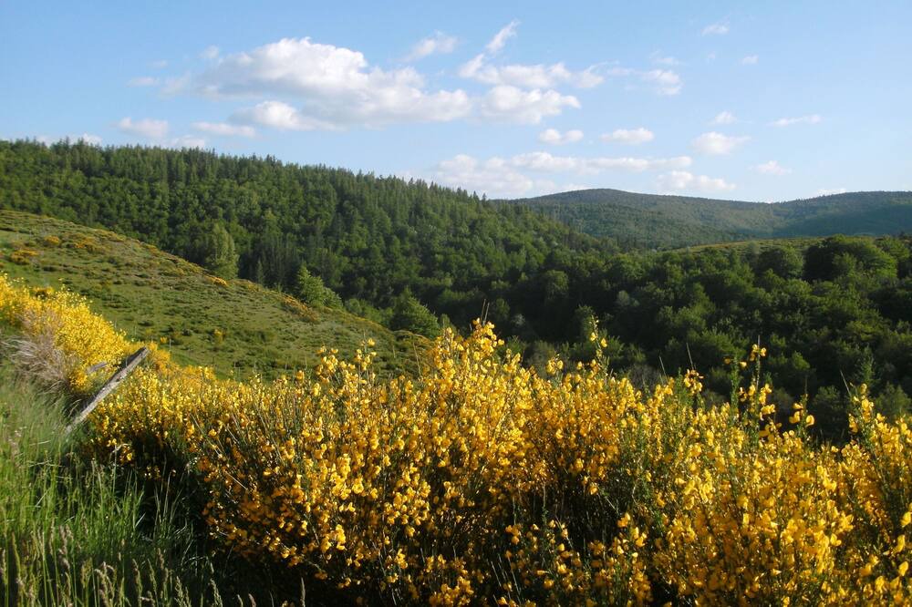 Photo of Outdoor in Pont-de-Montvert-Sud-Mont-Lozere