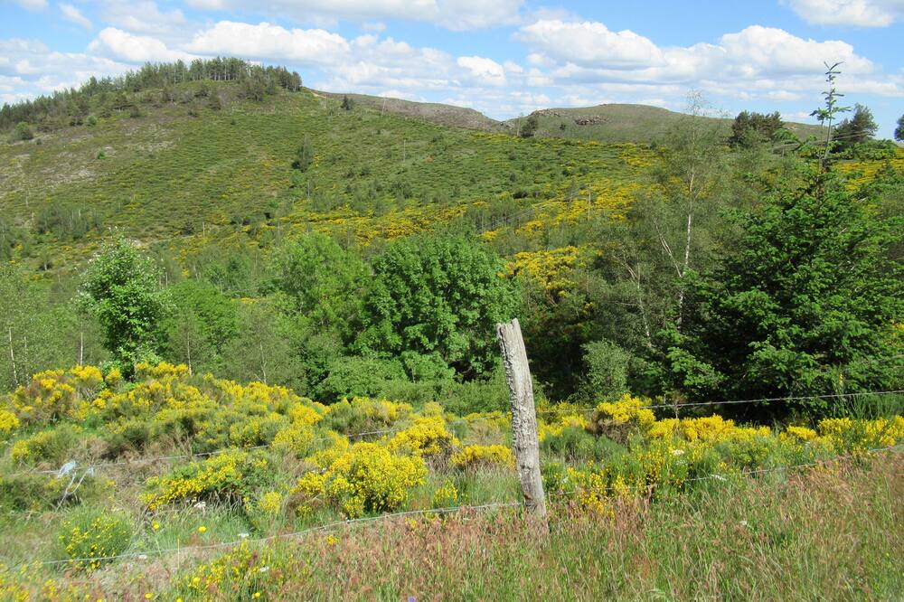 Photo of Outdoor in Pont-de-Montvert-Sud-Mont-Lozere