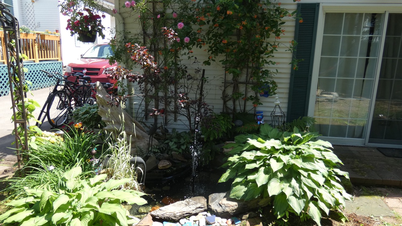 Photo of Outdoor in Shediac