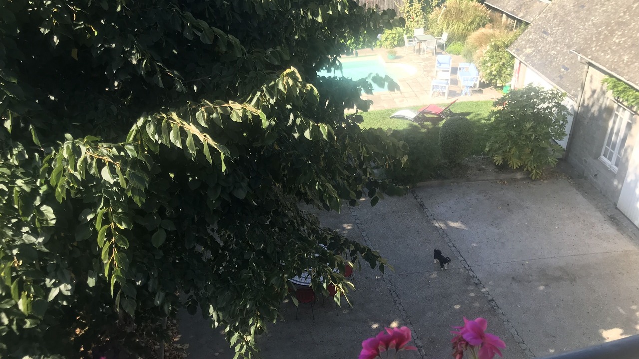 Photo of Outdoor in Saint-Brice-en-Cogles