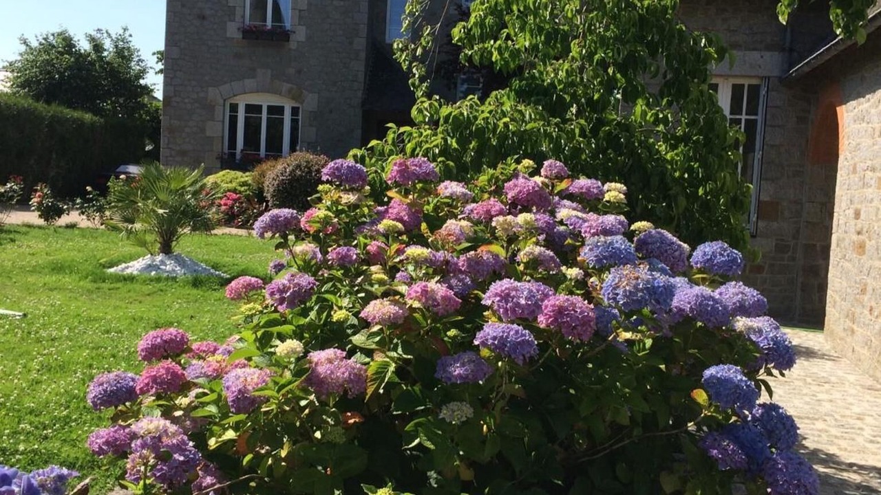 Photo of Outdoor in Saint-Brice-en-Cogles