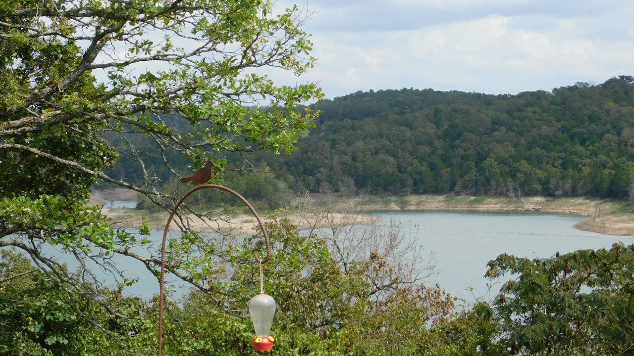 Photo of Outdoor in Mountain Home