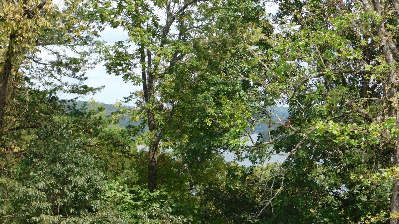 Photo of Outdoor in Mountain Home
