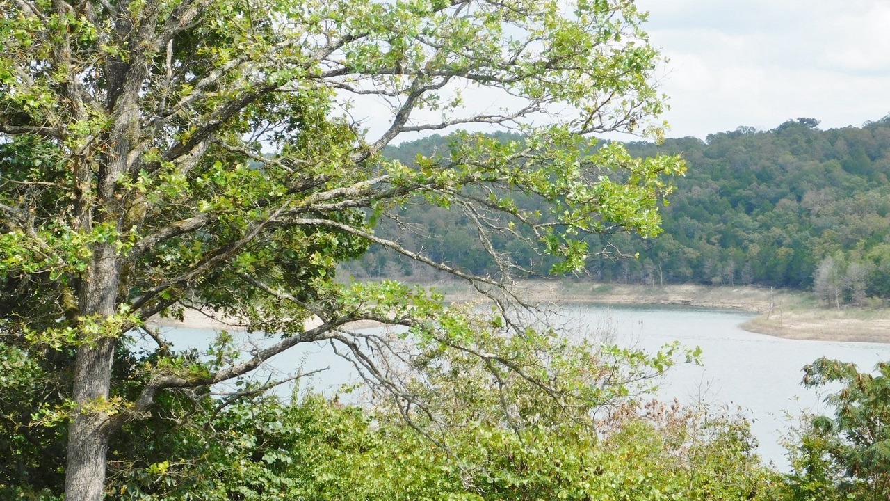 Photo of Outdoor in Mountain Home