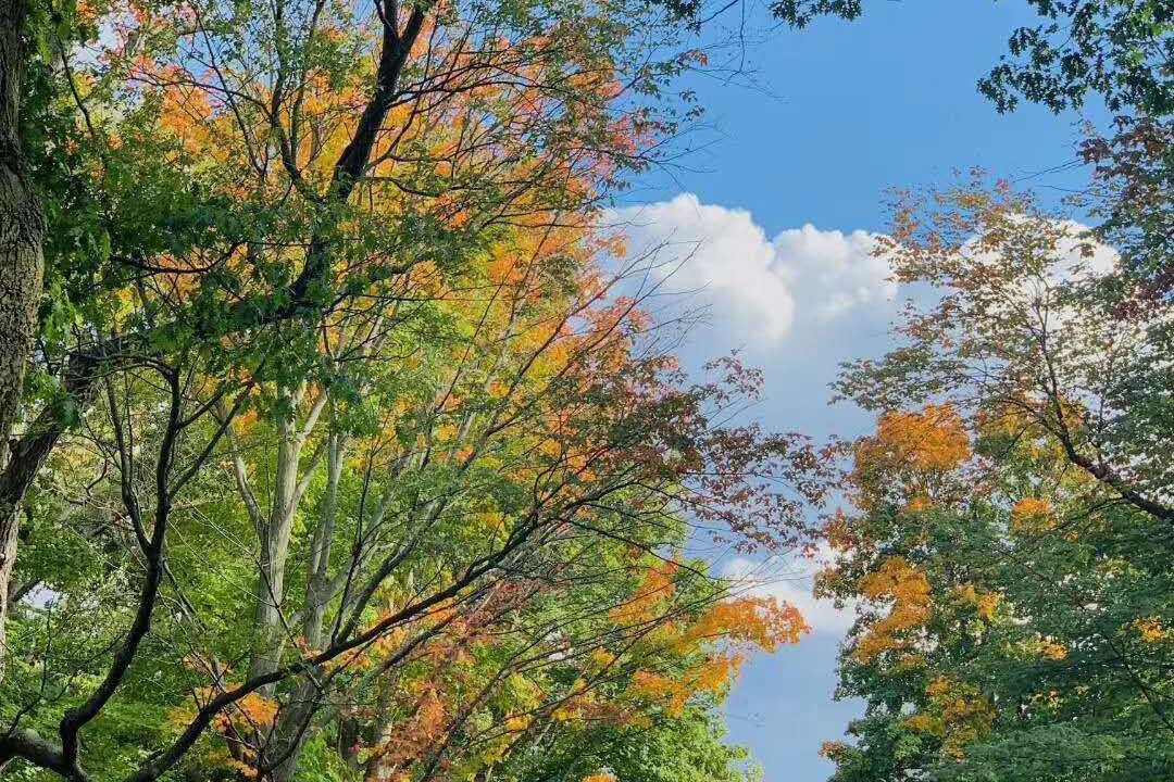 Photo of Outdoor in Jacksons Point