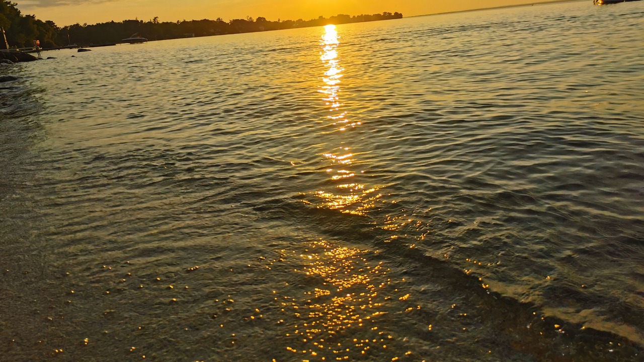 Photo of Others in Jacksons Point