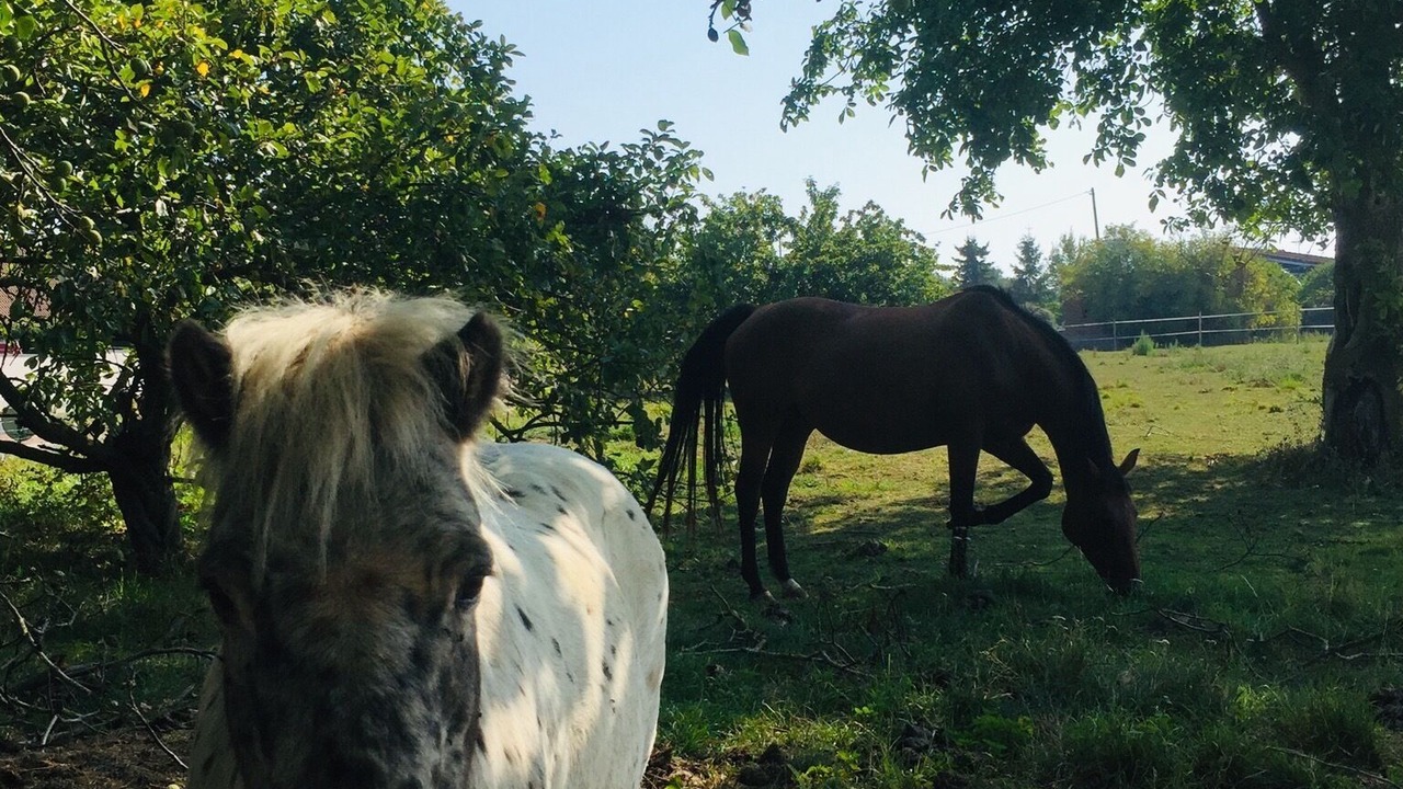 Photo of Outdoor in Haucourt