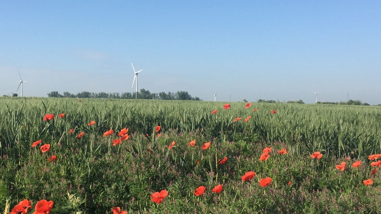 Photo of Outdoor in Haucourt
