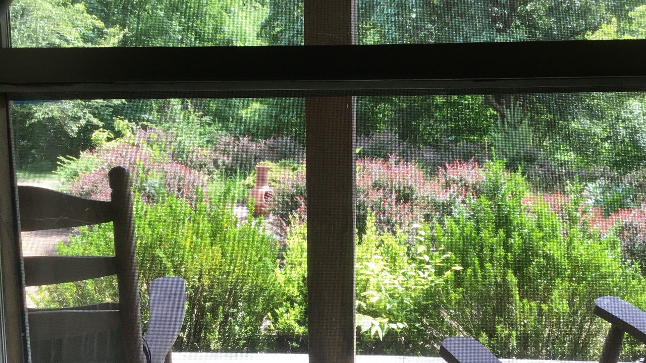 Photo of Outdoor in Dugspur