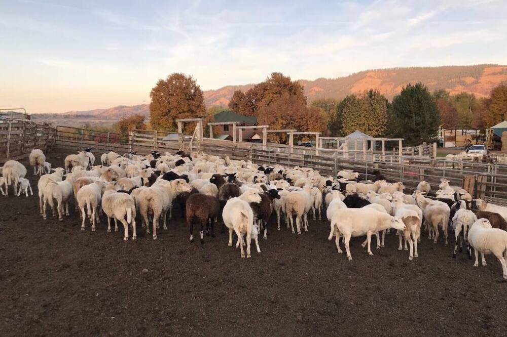 Photo of Others in Tamarack