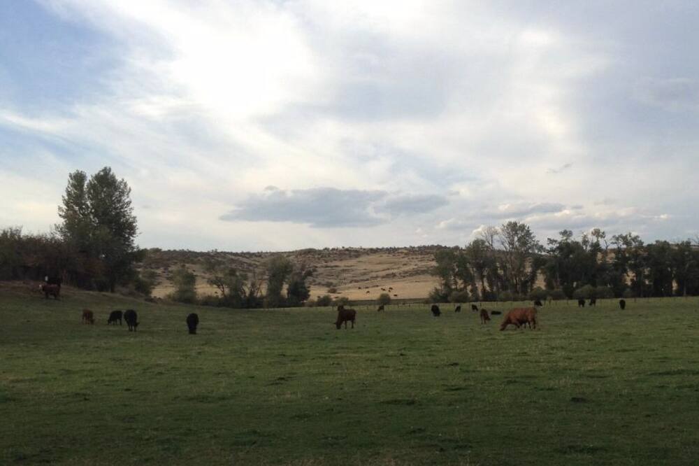 Photo of Outdoor in Tamarack