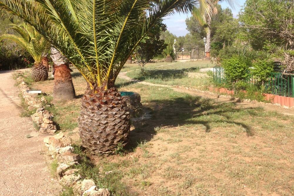 Photo of Outdoor in Les Planes del Rei