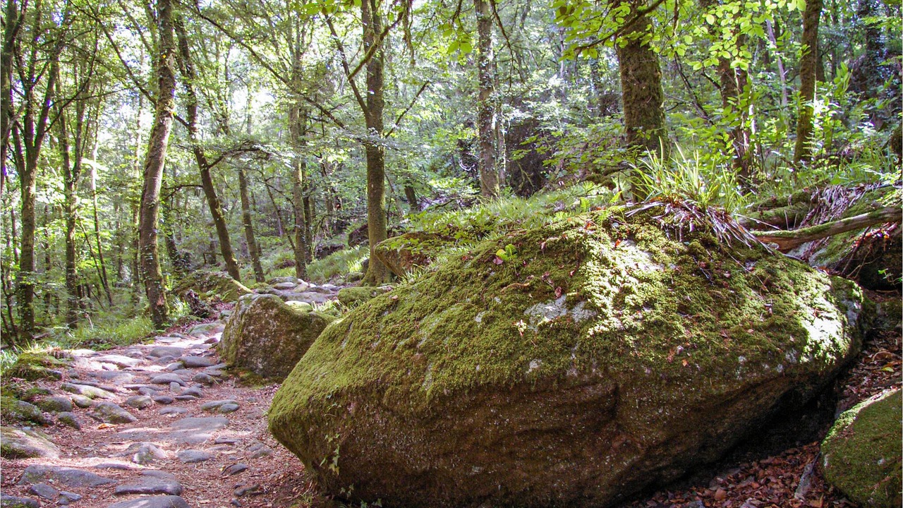 Photo of Outdoor in Beganne
