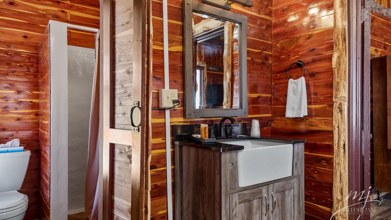Photo of Bathroom in Eureka Springs Historic District
