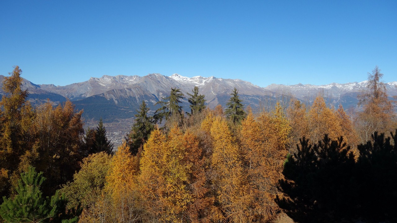 Photo of Outdoor in Les Mayens-de-Sion