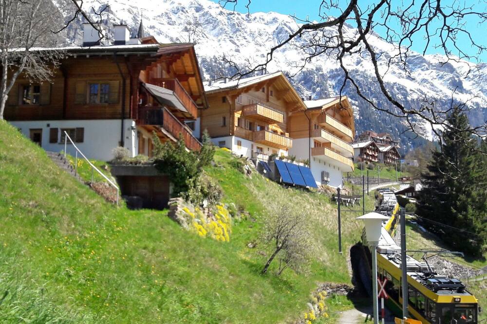 Photo of Others in Wengen