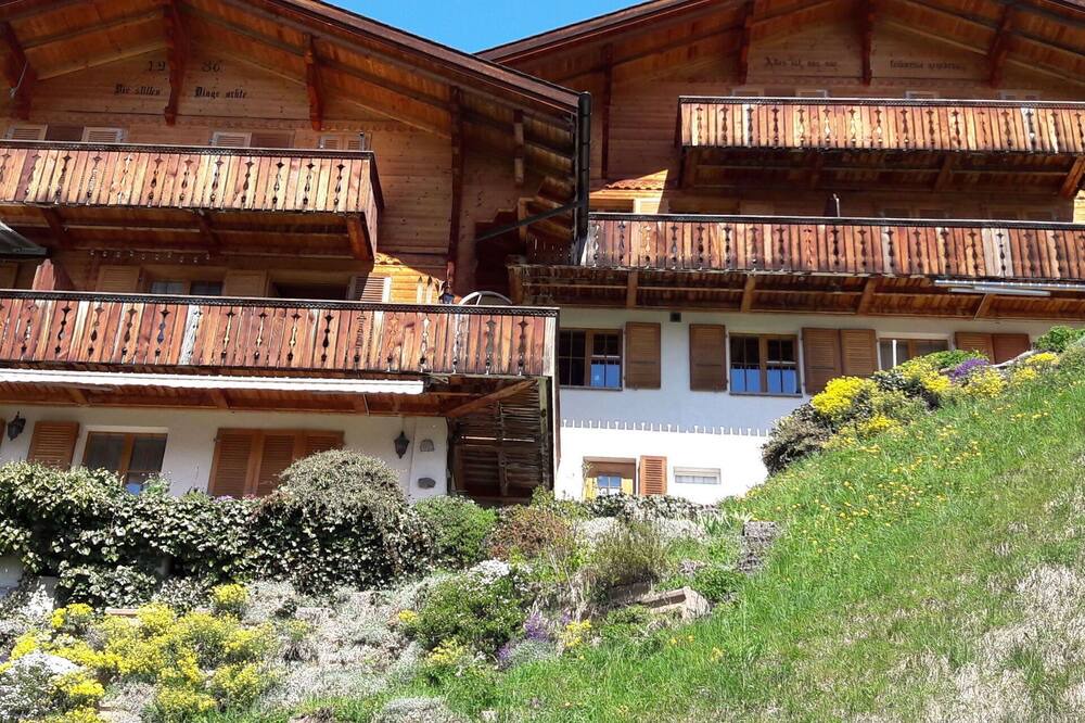 Photo of Others in Wengen