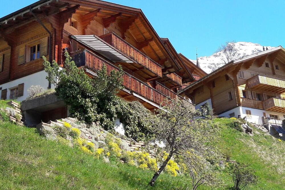 Photo of Others in Wengen