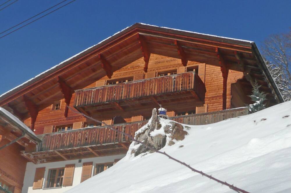 Photo of Others in Wengen