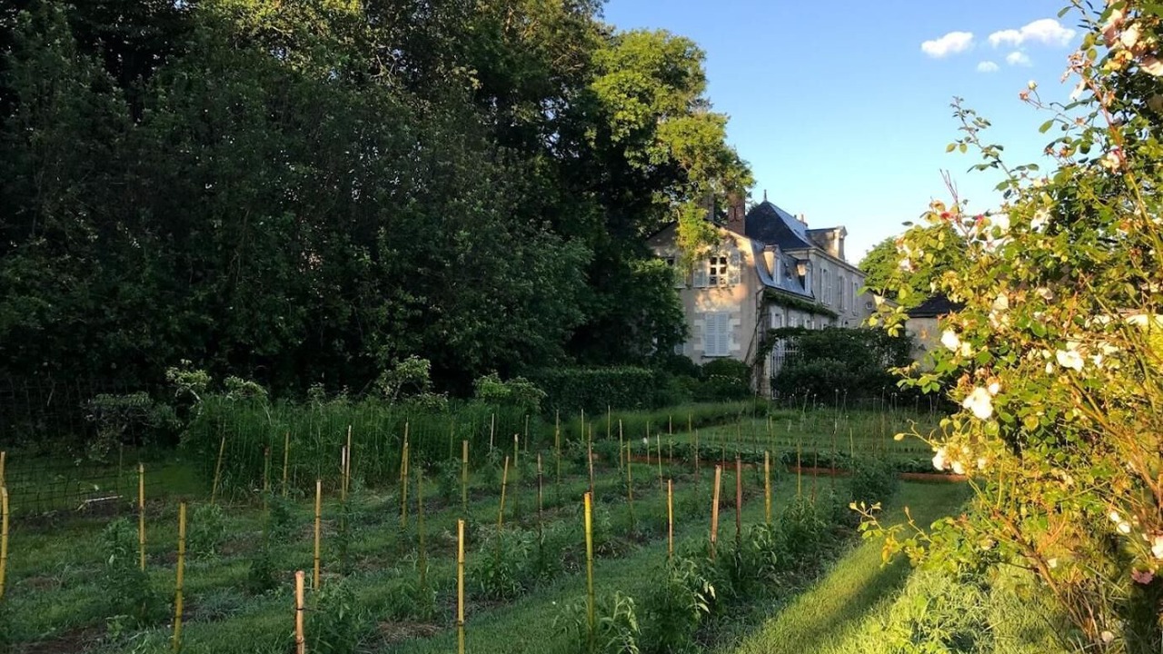 Photo of Outdoor in Cande-sur-Beuvron