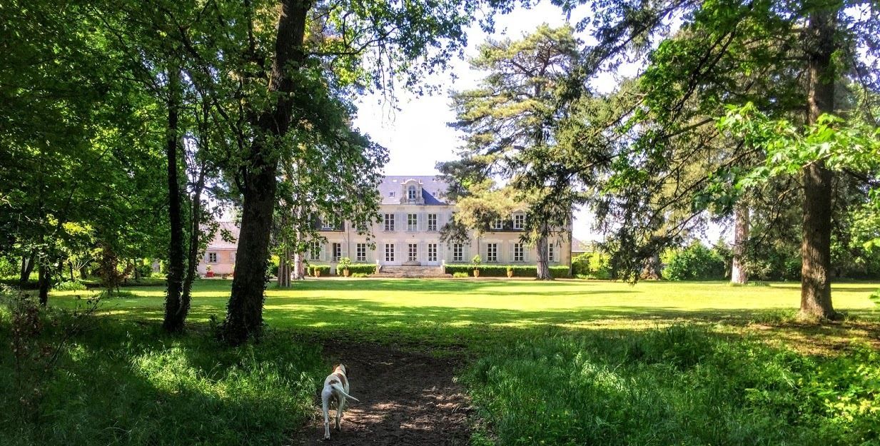 Photo of Outdoor in Cande-sur-Beuvron