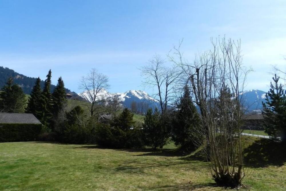 Photo of Outdoor in Saanen