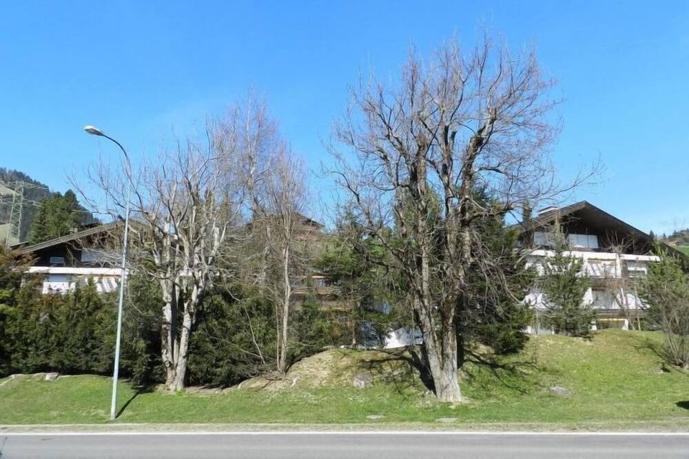 Photo of Outdoor in Saanen
