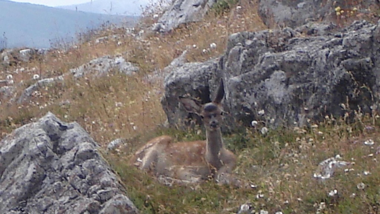 Photo of Outdoor in Abiada