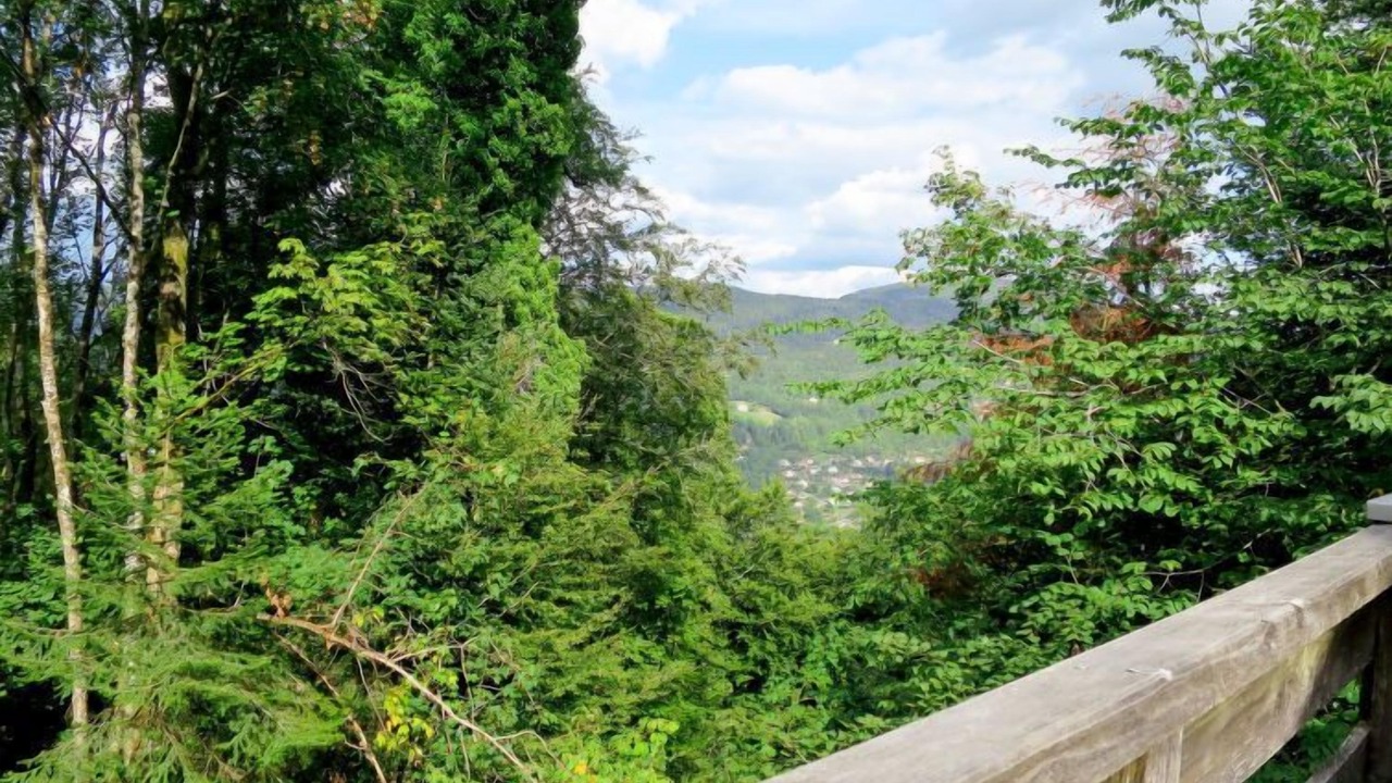 Photo of Outdoor in Thiefosse