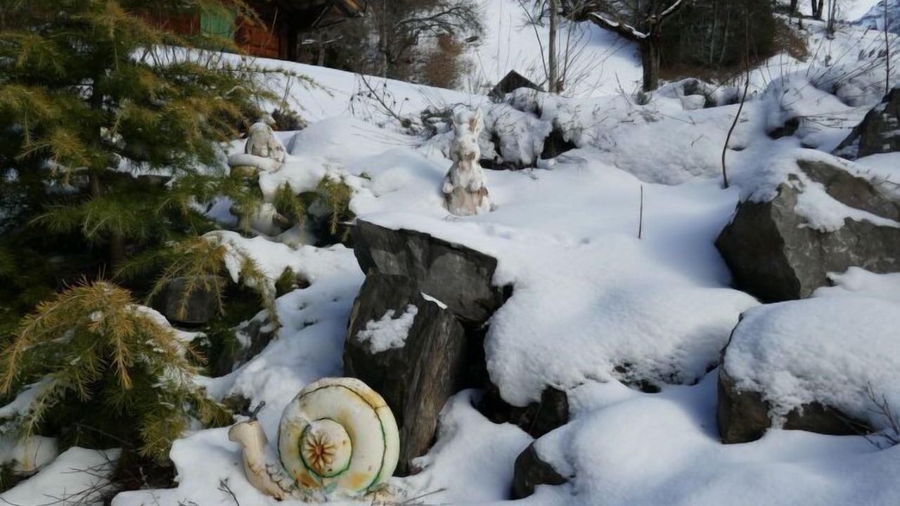 Photo of Outdoor in Grindelwald
