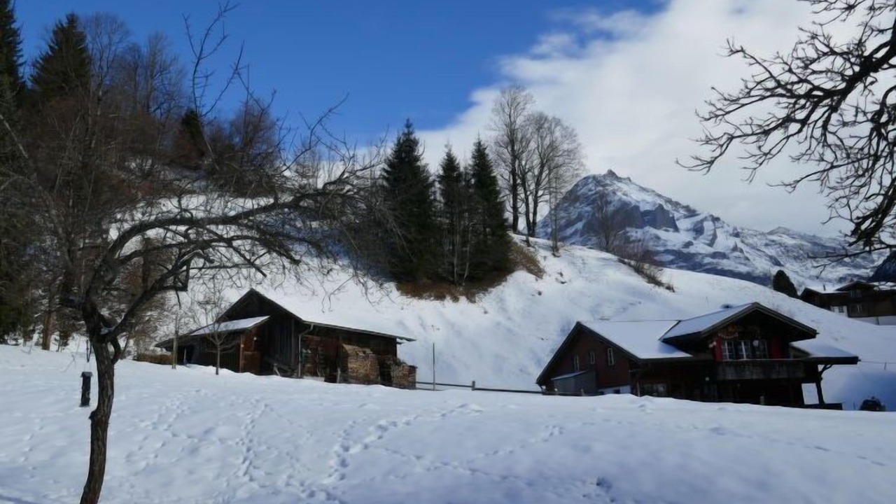 Photo of Outdoor in Grindelwald
