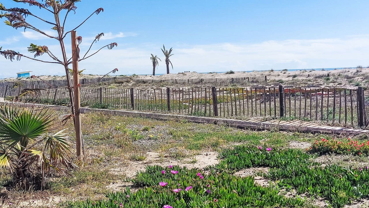 Photo of Outdoor in Le Barcares