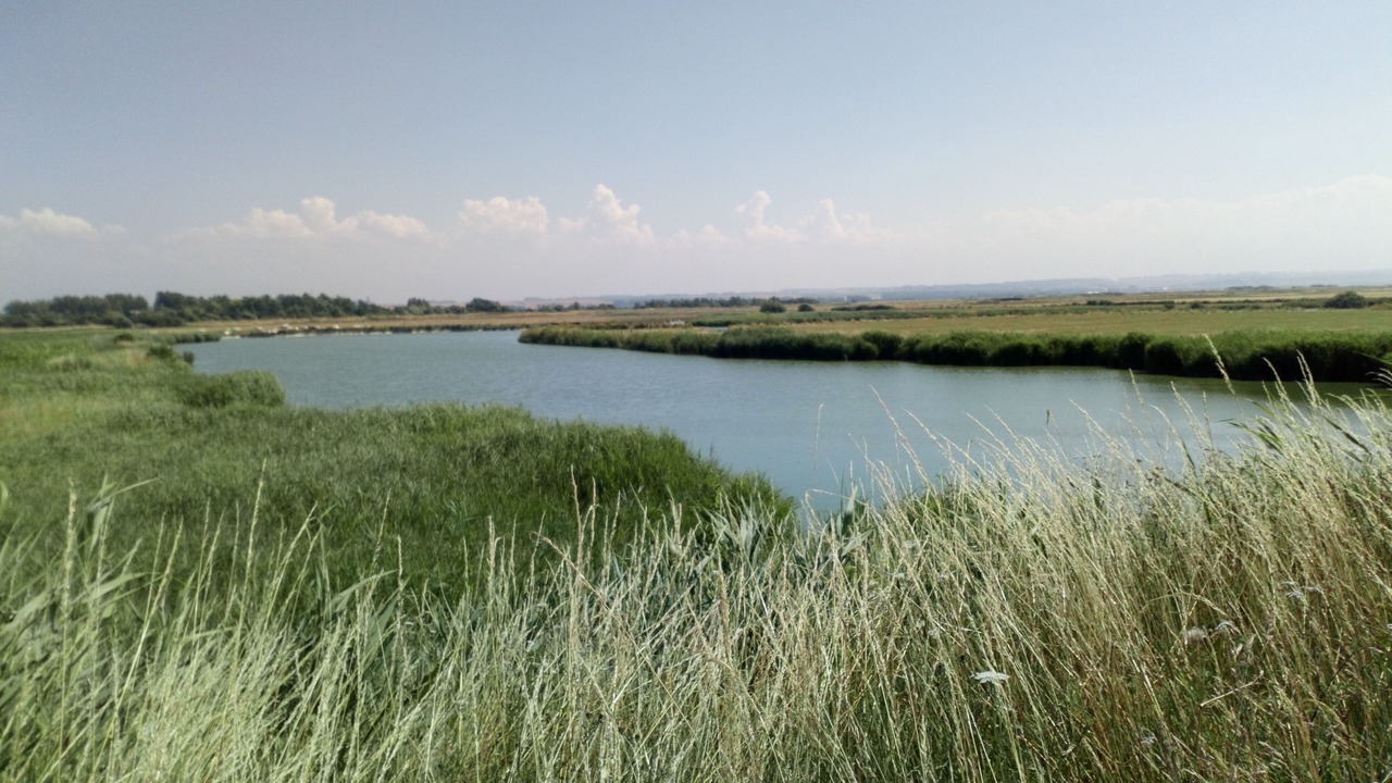 Photo of Outdoor in Cayeux-sur-Mer