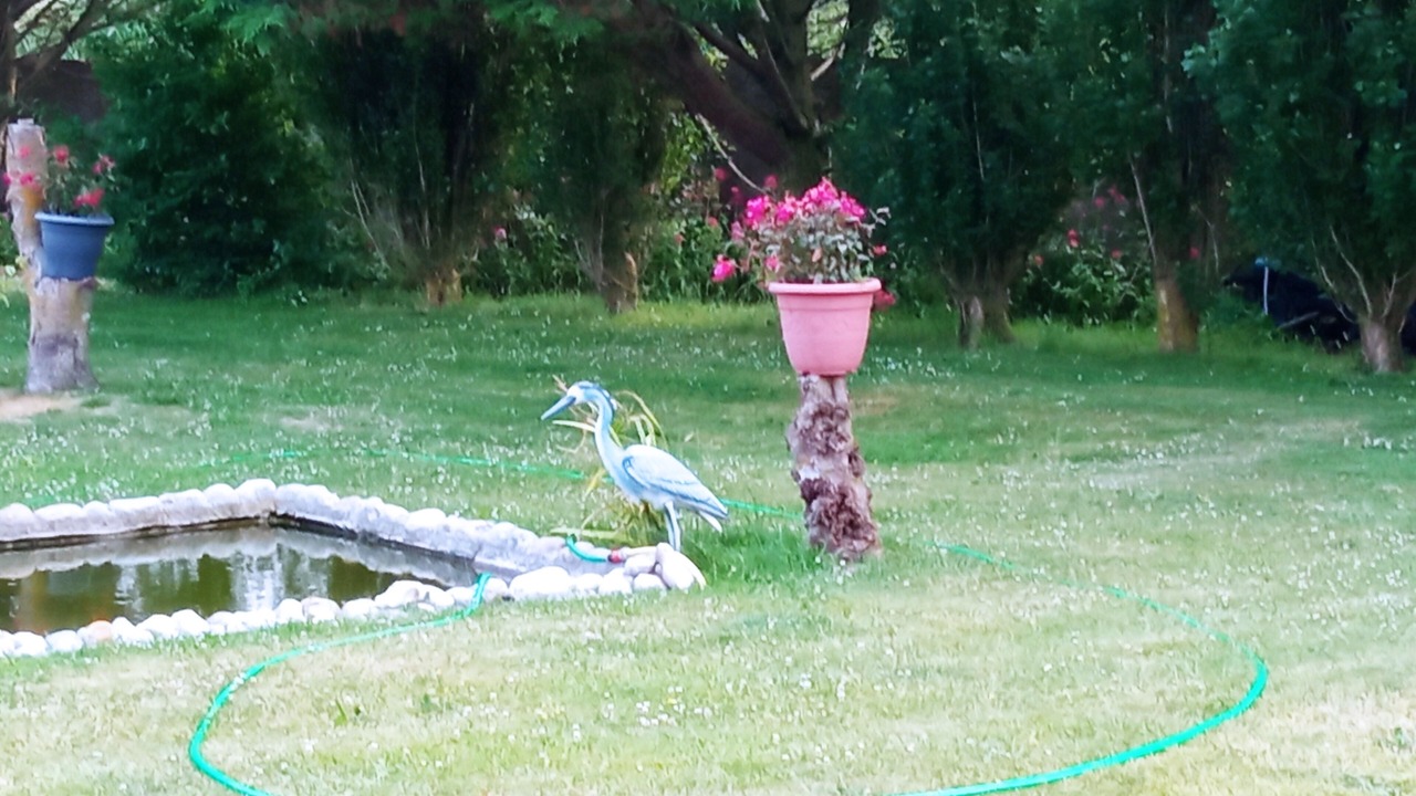 Photo of Outdoor in Cayeux-sur-Mer