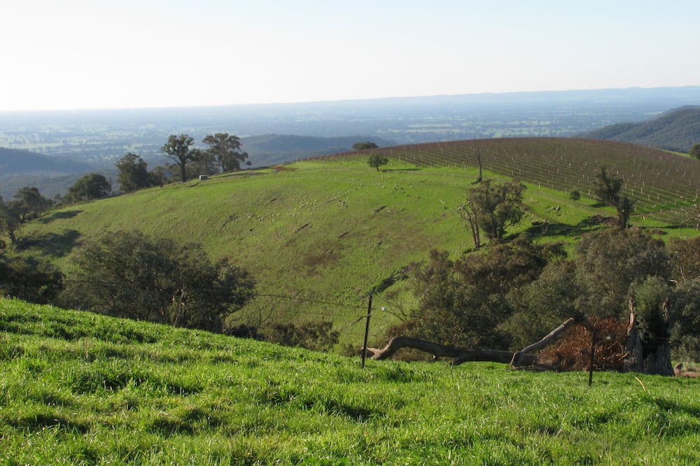 Photo of Others in Myrrhee