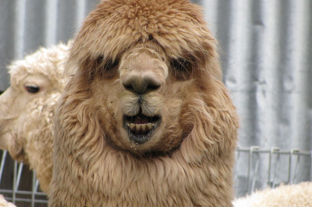 Photo of Outdoor in Myrrhee