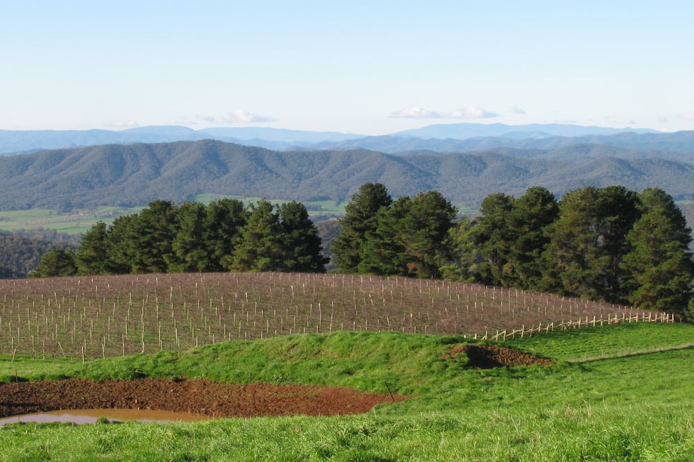 Photo of Outdoor in Myrrhee