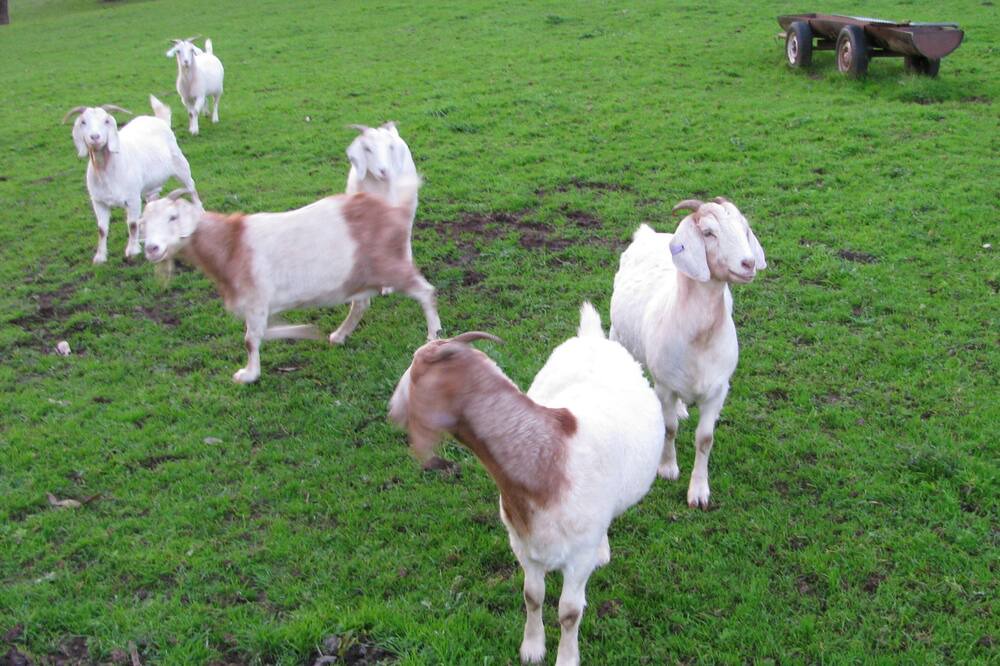 Photo of Outdoor in Myrrhee