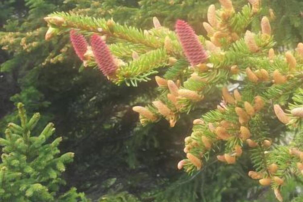 Photo of Outdoor in Saas-Fee